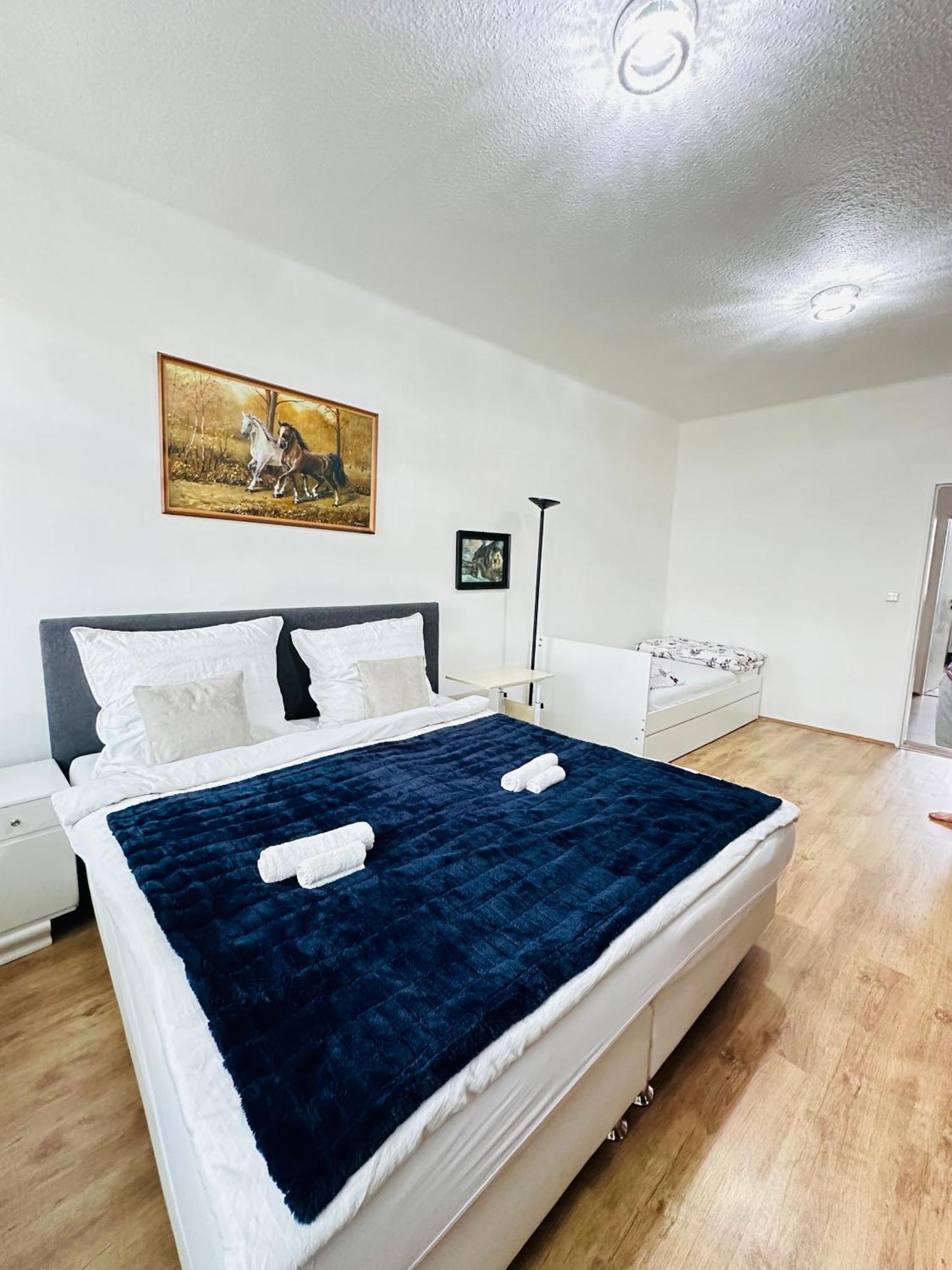 Appartamento Kael Aparment 03 Teplice Esterno foto